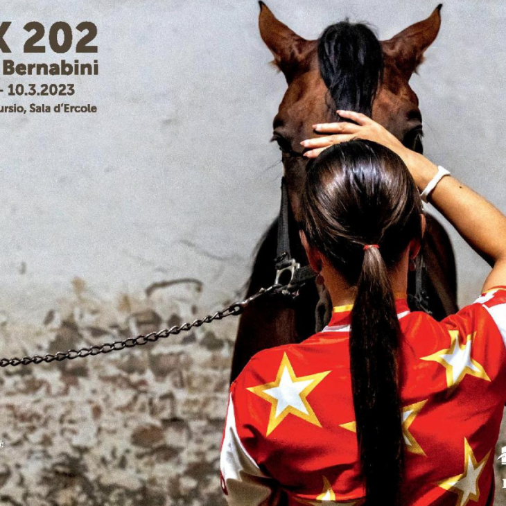 Mostra fotografica BOX 202 – Ippodromo Arcoveggio
