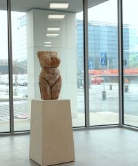 MTN/ MUSEO TEMPORANEO NAVILE