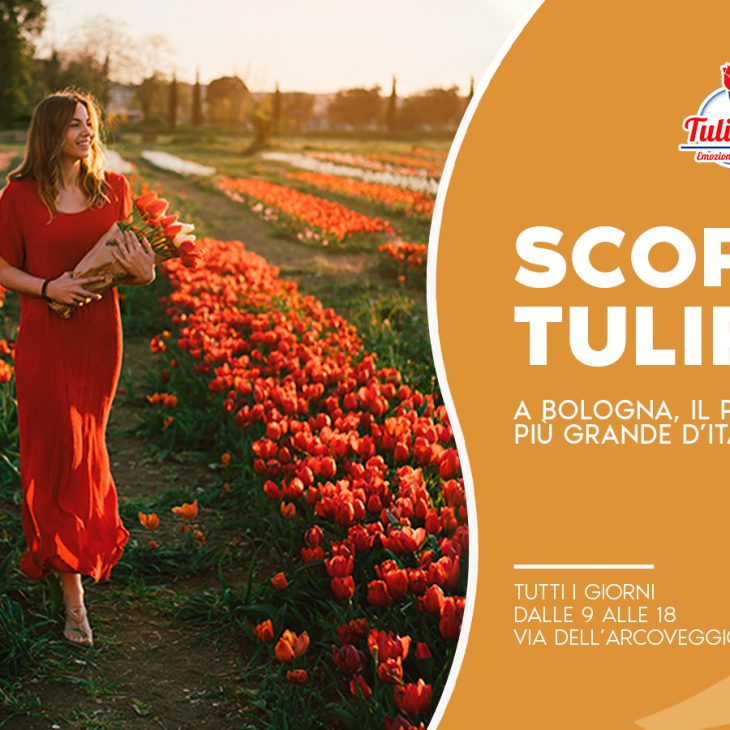 Tulipark Bologna – Torna a Bologna il parco di Tulipani più grande d’italia !