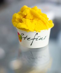 Gelateria Stefino