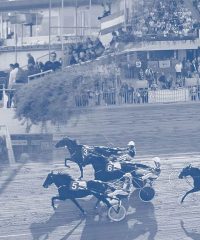 IPPODROMO BOLOGNA