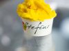 Gelateria Stefino